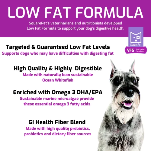 SquarePet VFS Low Fat Formula - Image 2