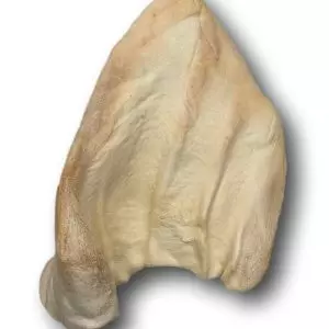 Healthy Dog Chew Cow Ear