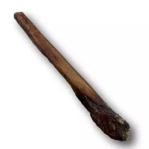 Healthy Dog Chew Black Angus Bully Stick 12"