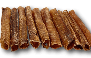 Healthy Dog Chew 12" Beef Trachea