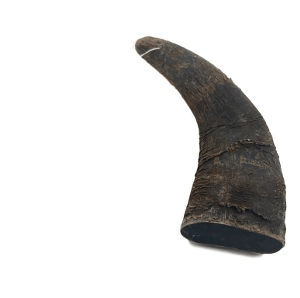 Healthy Dog Chew Water Buffalo Horn