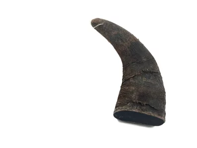 Healthy Dog Chew Water Buffalo Horn